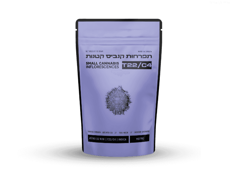 קנאביס רפואי תפרחת אסטרו 33 מיני - T22/C4 - Astro 33 Mini טוגדר פארמה לילה - אינדיקה