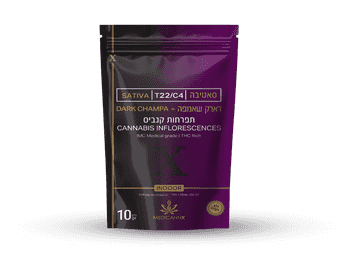 תפרחת דארק שאמפה - T22/C4 - Dark Champa