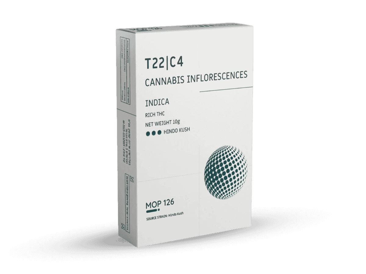 קנאביס רפואי תפרחת הינדו קוש - T22/C4 - Hindo Kush פלאנטק מדיקל לילה - אינדיקה