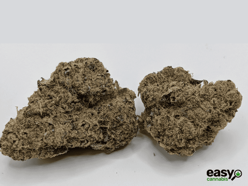 קנאביס רפואי תפרחת סקוט פי - T22/C4 - Scot P פלאנטק מדיקל לילה - אינדיקה