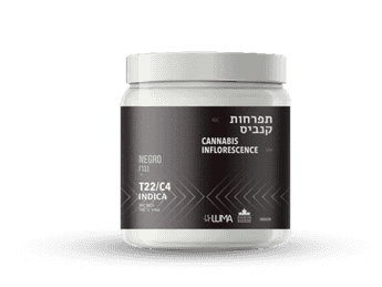 תפרחת נגרו - T22/C4 - Negro