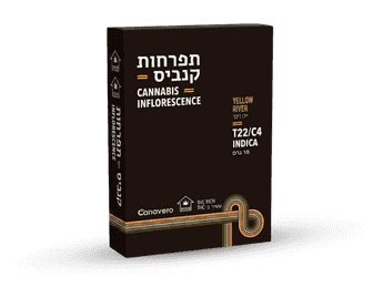 תפרחת ילו ריבר - T22/C4 - Yellow River