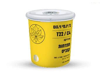 תפרחת בי.יו.סי וי.נום  - T22/C4 - B.U.C V.Nom