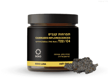 תפרחת סולו לונה - T22/C4 - SOLO LUNA