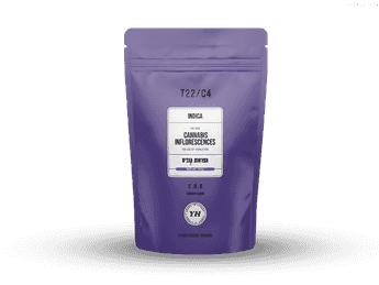 תפרחת סי.אייץ'.אר - T22/C4 - C.H.R