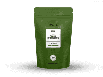 תפרחת אס.קיי.טי - T22/C4 - S.K.T