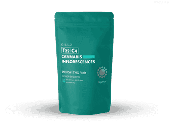 תפרחת ג'י.אר.אל.זי - T22/C4 - G.R.L.Z