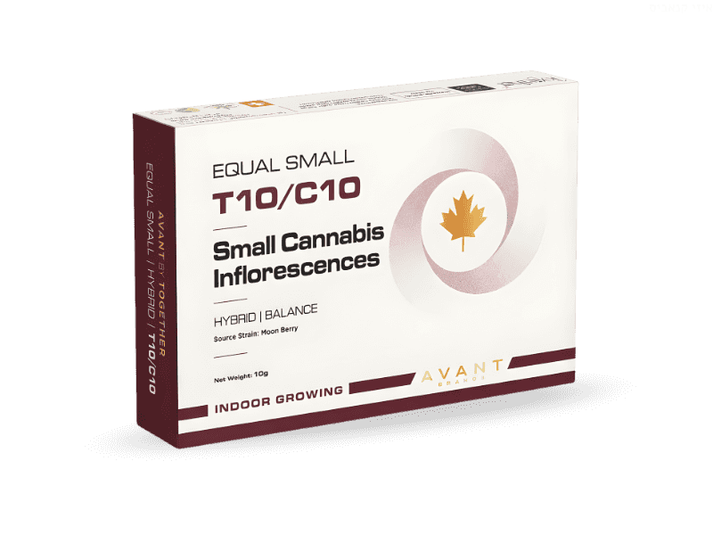קנאביס רפואי תפרחת איקוול סמול - T10/C10 - Equal Small טוגדר פארמה יום\לילה - היברידי