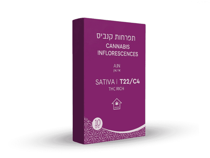 קנאביס רפואי תפרחת איי.אין - T22/C4 - A.IN קנטק יום - סאטיבה
