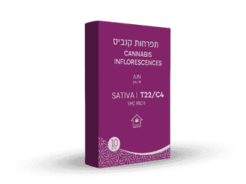 תפרחת איי.אין - T22/C4 - A.IN