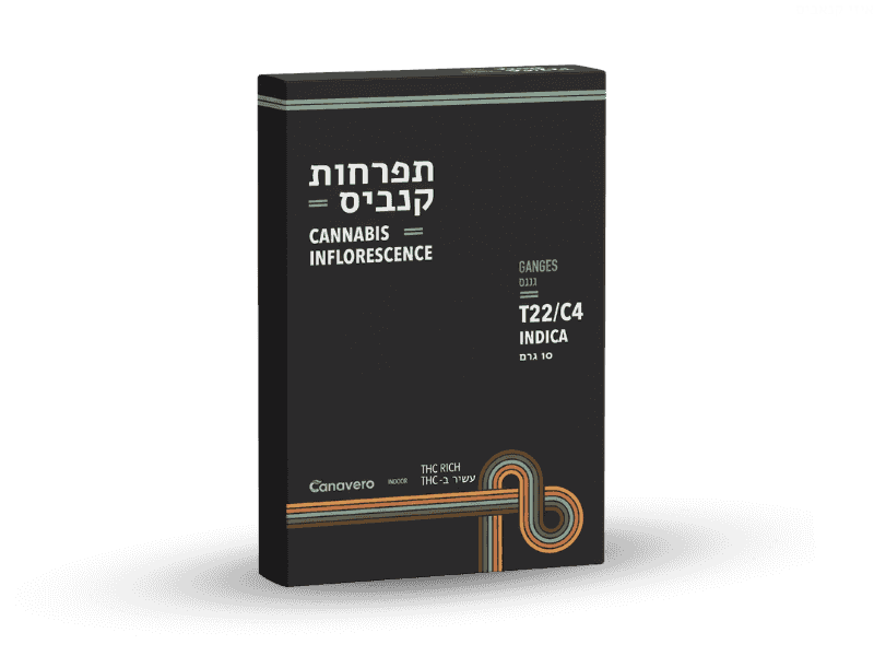 קנאביס רפואי תפרחת גנגס - T22/C4 - GANGES קנטק לילה - אינדיקה
