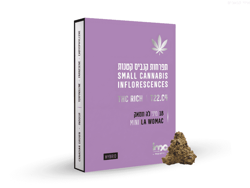 קנאביס רפואי תפרחת לה וומאק מיני - T22/C4 - LA Womac Mini איי.אמ.סי יום\לילה - היברידי