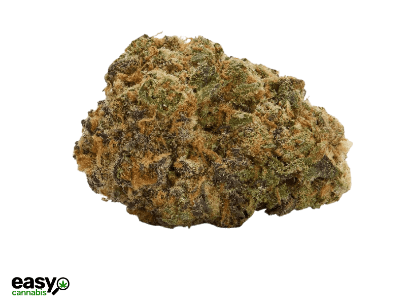 קנאביס רפואי תפרחת לה וומאק מיני - T22/C4 - LA Womac Mini איי.אמ.סי יום\לילה - היברידי