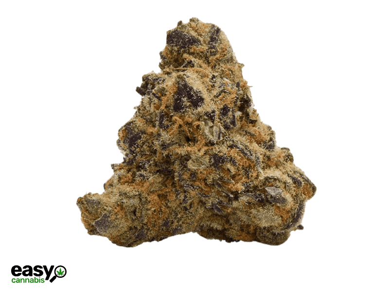 קנאביס רפואי תפרחת לה וומאק מיני - T22/C4 - LA Womac Mini איי.אמ.סי יום\לילה - היברידי