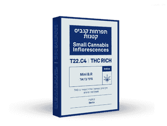 תפרחת בי אר מיני - T22/C4 - BR Mini