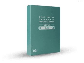 תפרחת אס 88 - T22/C4 - S88