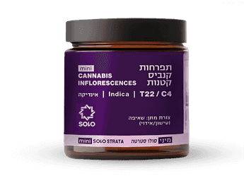 תפרחת סולו סטראטה מיני - T22/C4 - SOLO Strata Mini