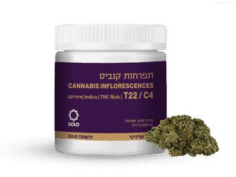 תפרחת סולו טריניטי - T22/C4 - SOLO TRINITY