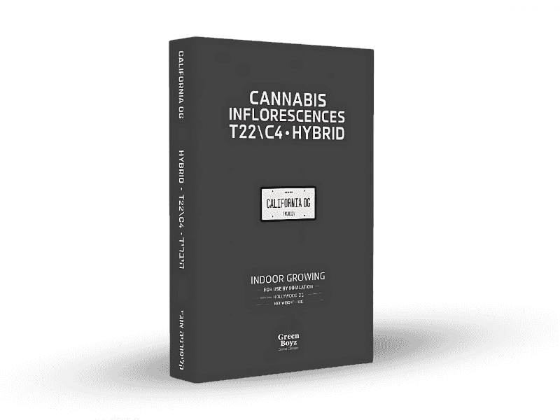 קנאביס רפואי תפרחת קליפורניה אוג'י - T22/C4 - California OG גרין בויז יום\לילה - היברידי