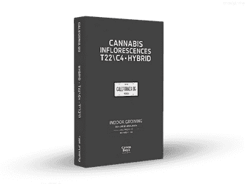 תפרחת קליפורניה אוג'י - T22/C4 - California OG