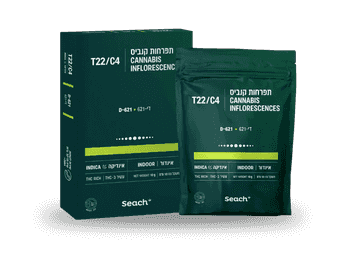 תפרחת די-621 - T22/C4 - D-621