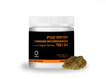 תפרחת סולו אטלס - T22/C4 - SOLO Atlas