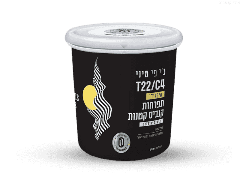 קנאביס רפואי פחית תפרחת ג'י פי מיני - T22/C4 - GP MINI טריכום יום\לילה - היברידי