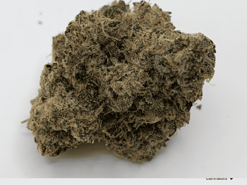 קנאביס רפואי תפרחת אף ג'י - T22/C4 - FG פלאנטק מדיקל לילה - אינדיקה