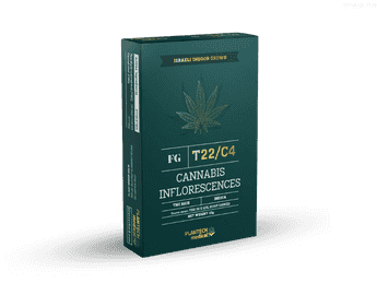 תפרחת אף ג'י - T22/C4 - FG