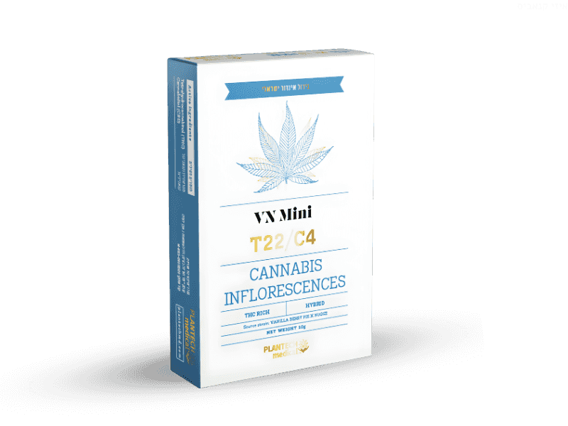 קנאביס רפואי תפרחת וי אן מיני  - T22/C4 - VN Mini פלאנטק מדיקל יום\לילה - היברידי