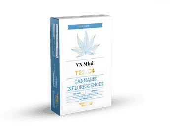 תפרחת וי אן מיני  - T22/C4 - VN Mini