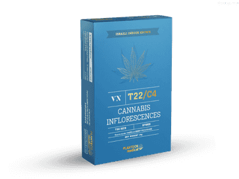 תפרחת וי אן - T22/C4 - VN