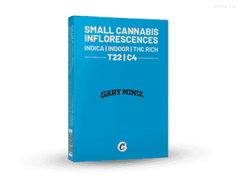 תפרחת גארי מיניז - T22/C4 - Gary Miniz
