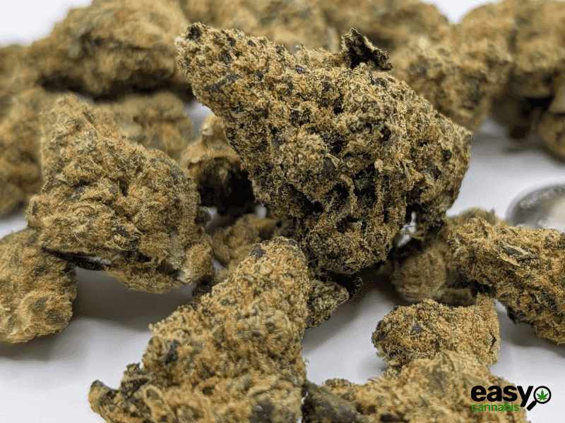 קנאביס רפואי תפרחת ספייס סי קי - T22/C4 - Space CK פיס נטורלס יום\לילה - היברידי