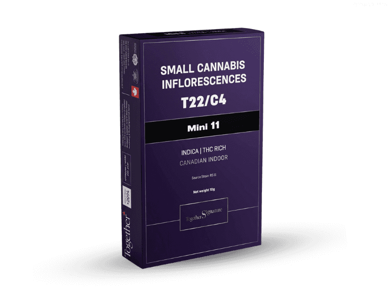 קנאביס רפואי תפרחת 11 מיני - T22/C4 - 11 Mini טוגדר פארמה לילה - אינדיקה