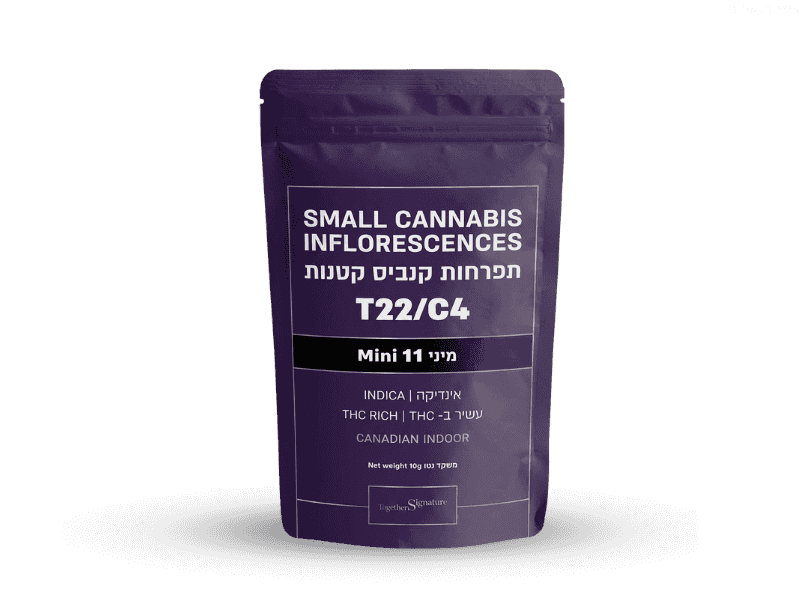 קנאביס רפואי תפרחת 11 מיני - T22/C4 - 11 Mini טוגדר פארמה לילה - אינדיקה