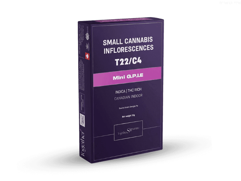 קנאביס רפואי תפרחת ג'י.פי.איי.אי מיני - T22/C4 - G.P.I.A Mini טוגדר פארמה לילה - אינדיקה