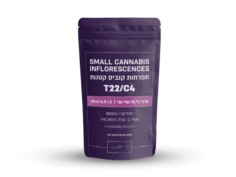 קנאביס רפואי תפרחת ג'י.פי.איי.אי מיני - T22/C4 - G.P.I.A Mini טוגדר פארמה לילה - אינדיקה