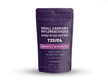 תפרחת ג'י.פי.איי.אי מיני - T22/C4 - G.P.I.A Mini