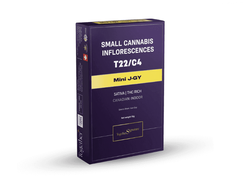 קנאביס רפואי תפרחת ג'יי-ג'י.וואי מיני - T22/C4 - J-GY Mini טוגדר פארמה יום - סאטיבה