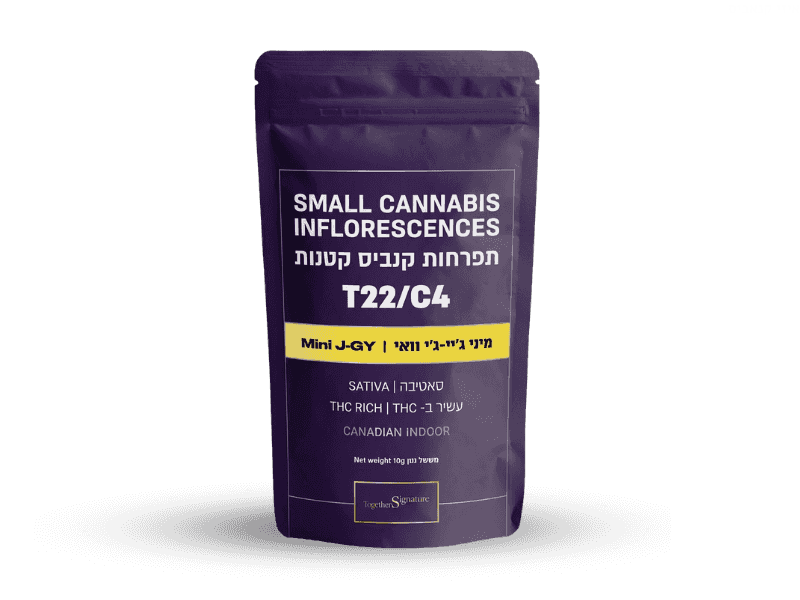 קנאביס רפואי תפרחת ג'יי-ג'י.וואי מיני - T22/C4 - J-GY Mini טוגדר פארמה יום - סאטיבה