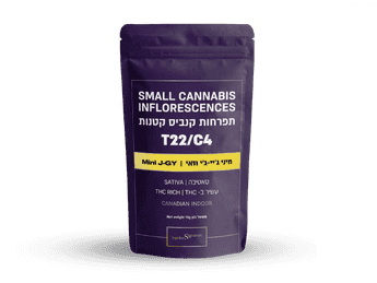 תפרחת ג'יי-ג'י.וואי מיני - T22/C4 - J-GY Mini