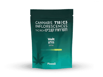 תפרחת וולט - T18/C3 - VOLT