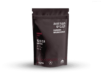 תפרחת דנובה - T22/C4 - Danube