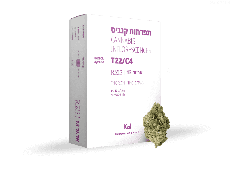 קנאביס רפואי תפרחת אר.זד 13 - T22/C4 - R.Z 13 קול מדיקל לילה - אינדיקה