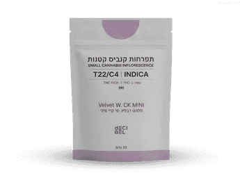 תפרחת ולווט דבליו סי.קיי מיני - T22/C4 - Velvet W.CK Mini