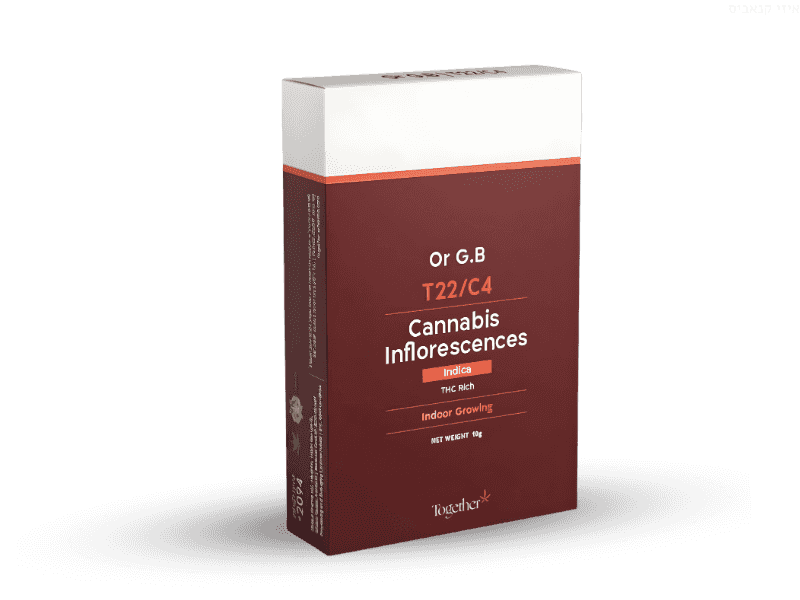 קנאביס רפואי תפרחת אור ג'י.בי - T22/C4 - Or G.B טוגדר פארמה לילה - אינדיקה