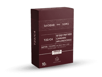 תפרחת באובב - T22/C4 - Baobab