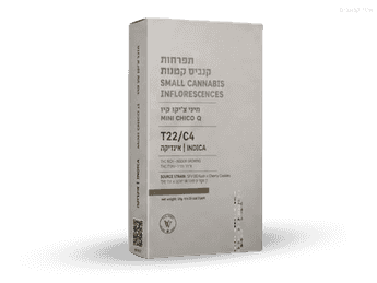 תפרחת קיו צ'יקו מיני - T22/C4 - Q Chico Mini