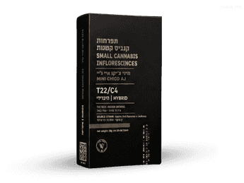 תפרחת איי ג'יי צ'יקו מיני - T22/C4 - AJ Chico Mini